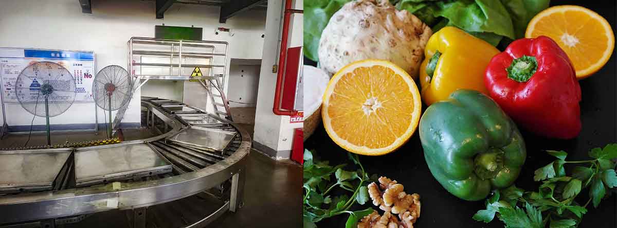 UV Light Food Sterilization Risks You Should Know - EBM MACHINE