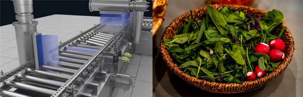 food-sterilizer-equipment