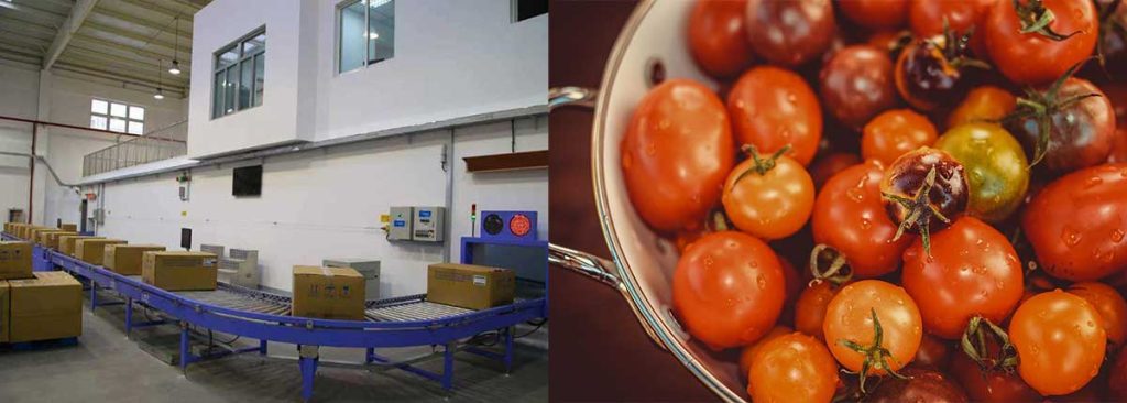 sterilization-in-food-preservation