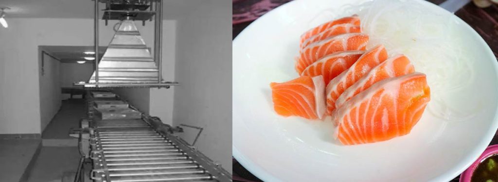 e-beam-irradiator​